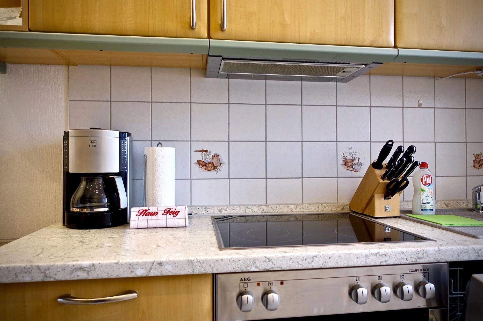Ferienwohnung Haus Feig Geyer Extérieur photo