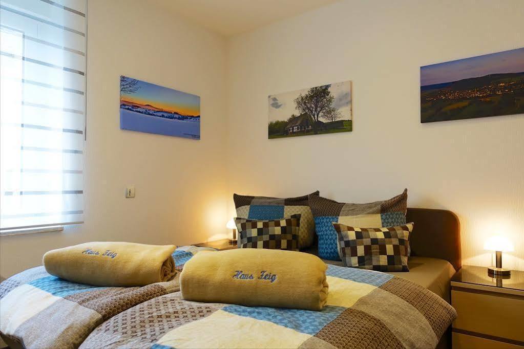 Ferienwohnung Haus Feig Geyer Extérieur photo