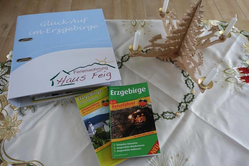 Ferienwohnung Haus Feig Geyer Extérieur photo