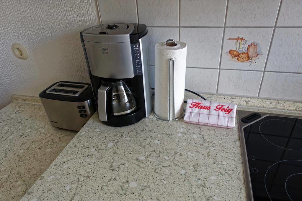 Ferienwohnung Haus Feig Geyer Extérieur photo